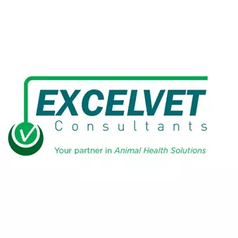 Excelvet-Consultant
